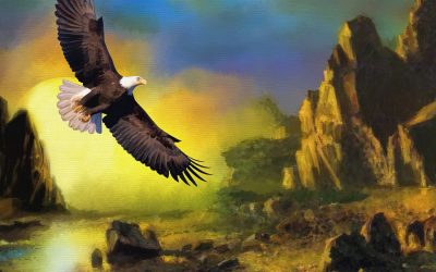 „HÖMMA, die Adler!“