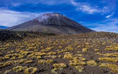 „Die Podcast-Profis“